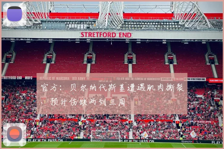 官方：贝尔纳代斯基遭遇肌肉撕裂，预计伤缺两到三周